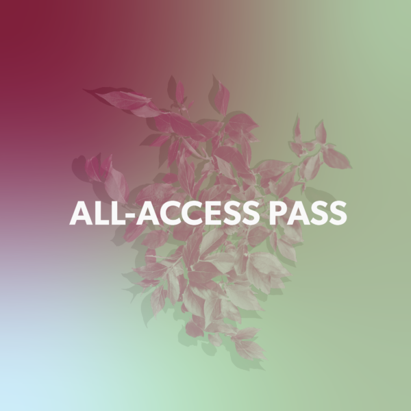 MOFF 2025 All-Access Pass