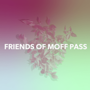Friends of MOFF 2025
